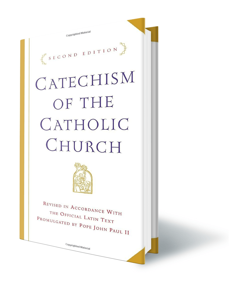 the catechism in a year