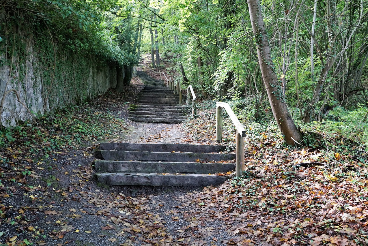 Steps on a path through the woods